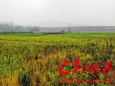 國務(wù)院關(guān)于印發(fā)土壤污染防治行動計劃的通知(上)